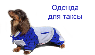 Одежда для таксы